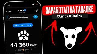 PAWS Легкие $500 КАЖДОМУ! БЫСТРЫЙ ФАРМ ТОКЕНОВ ПАВС (БЕЗ ВЛОЖЕНИИ)