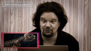 Nightwish - Ismo Leikola reacts to "Perfume of the Timeless"