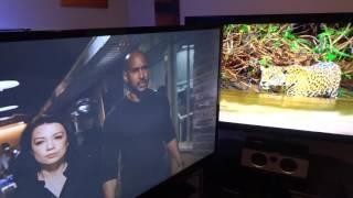 Panasonic DX902b 65" vs sharp 60" (4k vs HD)