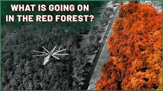 The Red Forest of Chernobyl - The Zone part 4 ||| Chernobyl Stories