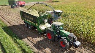 CLAAS JAGUAR 940 am Mais häckseln / Abfahrer FENDT 920 & FENDT 930 / 4K