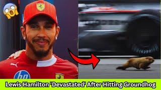 Lewis Hamilton 'Devastated' After Hitting Groundhog in Canada GP