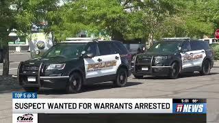 Man tased, arrested on multiple warrants
