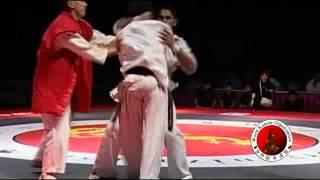 2010 WKO World Kumite Championships Middleweight Semi Final 1