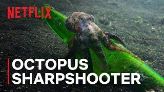 Our Oceans | Octopus Sharpshooter | Netflix