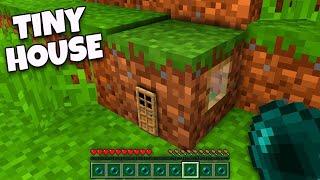 What's INSIDE the TINY HOUSE in the GRASS BLOCK in Minecraft ? SMALLEST HOUSE !