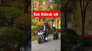 KUCING LUCU NAIK MOTOR H2 || Kucing Naik motor