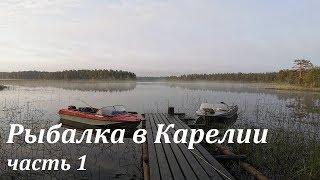 Рыбалка в Карелии. Дикие места. По следам Медведя. Тайга. День 1-2