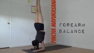 Yoga Forearm Balance - Pincha Mayurasana Instruction With Shana Meyerson YOGAthletica