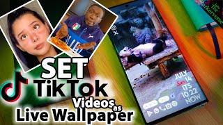 Set Any TikTok Video as Live Wallpaper -  (How to set tik tok videos as wallpaper - 2024 Guide)