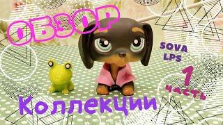  Моя коллекция LPS! / часть1/ обзор моих петов / SOVA LPS