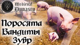 Medieval Dynasty  Покупка поросят, охота на зубра и лося и бандиты 