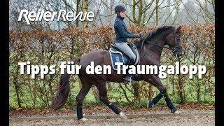 Tipps für den Traumgalopp