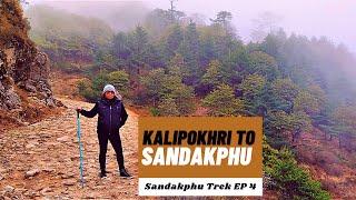 Kalipokhri To Sandakphu Trek | Sandakphu Trekking EP 4 | Travel Vlog | TravellersLens