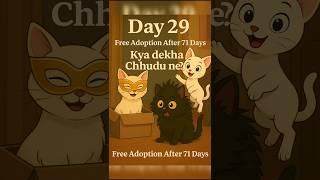 DAY-29new born kittensFree ADOPTION after 100 days.. read full description. #newbornkitten