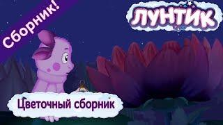 Цветочный сборник  Лунтик  Сборник мультфильмов