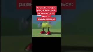 мемная папка 