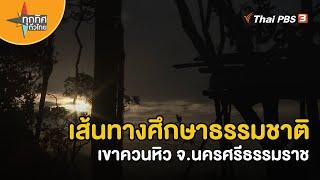 เส้นทางศึกษาธรรมชาติเขาควนหิว จ.นครศรีธรรมราช | วิถีทั่วไทย  | ทุกทิศทั่วไทย