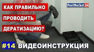 Как правильно проводить дератизацию. Способы дератизации, уничтожение грызунов.