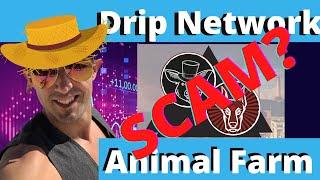 Is Drip Community A Good Invest Or Is Drip A Scam