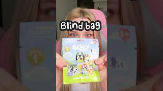 Bluey Blind Bag