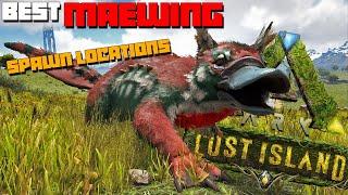 ARK: Lost Island MAEWING | Best Spawn Locations!