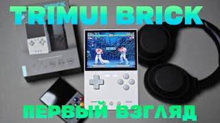 Trimui Brick - идеальная мини-портативка? / Первые впечатления