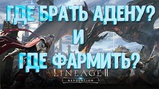 [Lineage 2: Revolution] ГДЕ БРАТЬ АДЕНУ? Где фармить? Сколько можно фармить в день? Клан боссы и тд