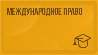 Международное право. Видеоурок по обществознанию 10 класс