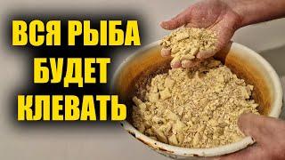 Прикормка для ловли всей крупной рыбы своими руками. Авторская прикормка для рыбалки, видео рецепт