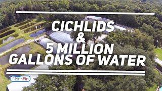 20 acres of Tropical Fish? 5 million gallons of water?