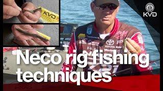 How to set up and fish the Neko Rig - bass fishing options you have - with KVD