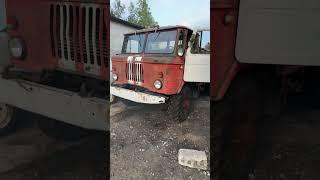 Шишига #youtube #shortvideo #shortsvideo #shorts #short #youtubeshorts #ytshorts