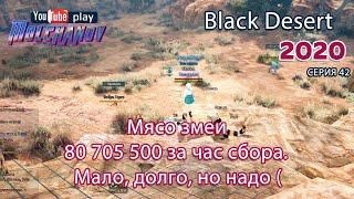 Мясо змеи. Black Desert Фарм серебра 2020. Лучница. Змеиная пустошь.