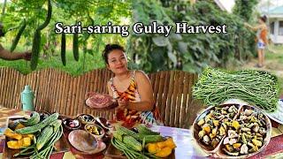 LIBRENG HARVEST SARI-SARING GULAY | Wholesome Village Cooking