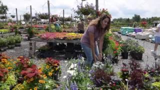 VIRTUAL TOUR of The Best Garden Center Around: Bountiful Gardens!