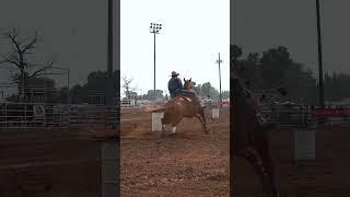 #nsca #omoksee #horse #rodeo #horseshow #western #westernriding #aqha #youtubeshorts #subscribe