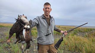 4 Days Hunting Ducks, Geese & Fishing Nome Alaska