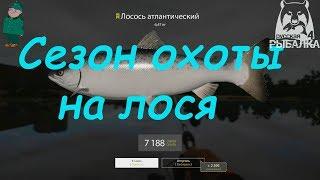 Русская рыбалка 4. Спиннинг на Волхове. Лосось в Междуречье.