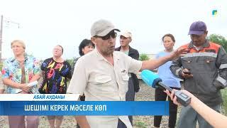 Шешімі керек мәселе көп