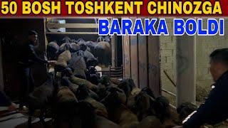 TOSHKENT CHINOZGA 50 BOSH SOVLUQLAR BARAKA BOLDI