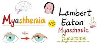 Myasthenia Gravis (MG) vs. Lambert-Eaton Myasthenic Syndrome (LEMS) - Neurology