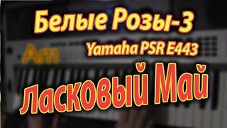 Белые Розы-3 on Yamaha PSR E443