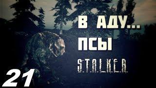 Прохождение. S.T.A.L.K.E.R. В Аду...Псы. #21.  Секретные разработки на благо науки.