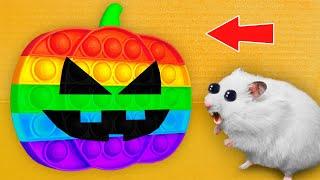  POP IT PUMPKIN - Halloween Hamster Maze with Traps ️[OBSTACLE COURSE]