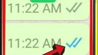 how to hide blue ticks in whatsapp