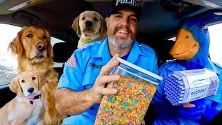 Rubber Ducky Surprises Police & Cute Puppy's with Car Ride Chase