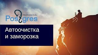 DBA2. «Администрирование PostgreSQL 9.5. Расширенный курс». Автоочистка и заморозка. Тема №06