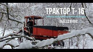 Трактор т 16 выезд в лес. Шассик в лесу (покатушки)