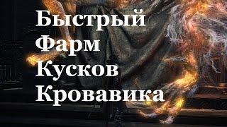 Bloodborne: быстрый фарм Кусок кровавика/Blood Stone Chunk